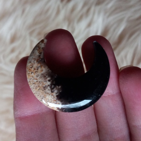 Petrified Wood Moons - Picture 5 of 6